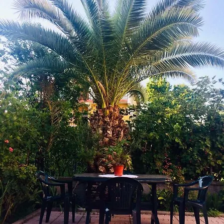 Belvedere بيت ضيافة شكودر
